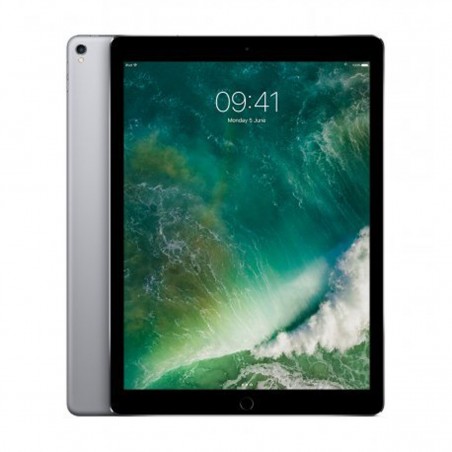 Apple iPad Pro 12,9" 256 GB WiFi+Cellular Gris Espacial MPA42TY/A
