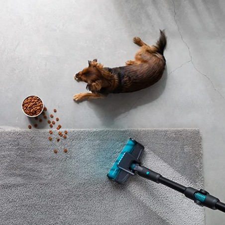 Conga Rockstar 2000 Ultimate ErgoWet Connected