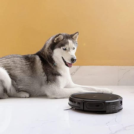 Conga 1990 Connected