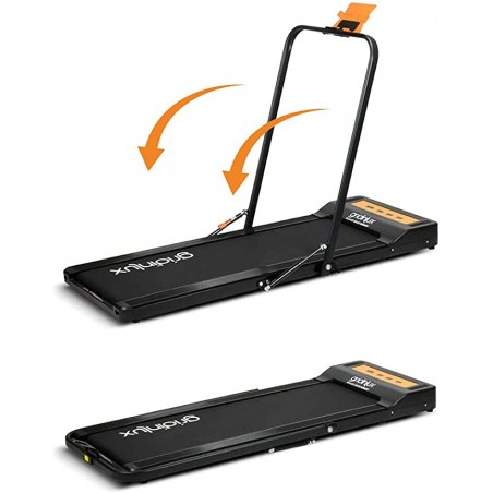 Trainer Race Infinity