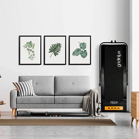 Trainer Race Infinity