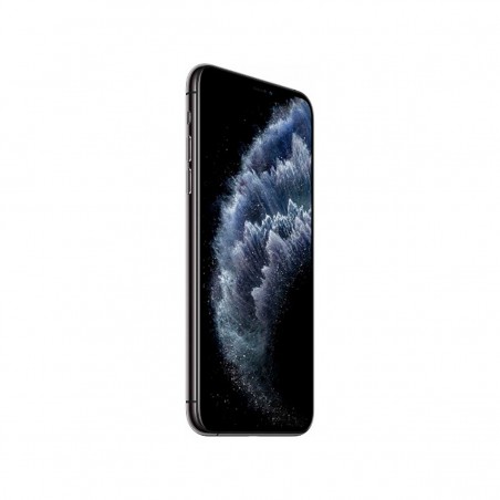 Apple iPhone 11 Pro Max 512GB Gris Espacial